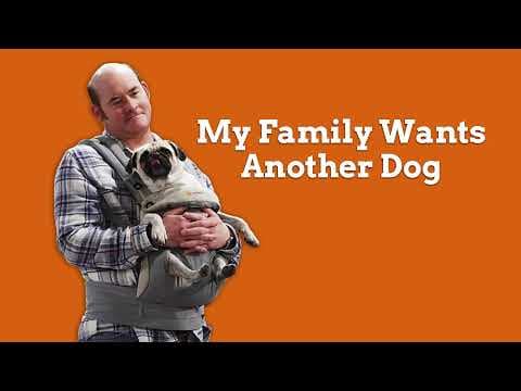 Thumbnail for Standup comedy